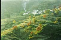 在哪遥远的小山村