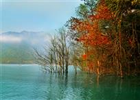 千岛湖秋意