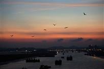 雁过浦西