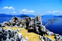 桂花岛