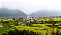 花田富山