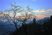 山村晨语