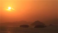 夕阳红