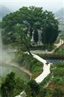 乡间小路