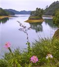 青山秀水花儿红