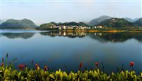 《美丽乡村》