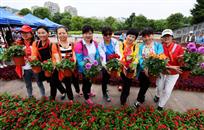 《万盆鲜花送市民》