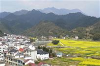 大山里的春天