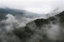 春雾