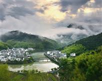 美丽下姜