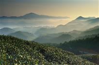 大墅晨景