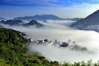 百照美景