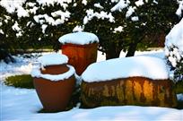 雪后小景致