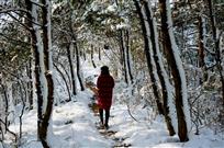 踏雪