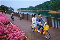 骑行花海中