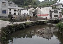 生态游