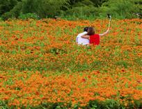 醉入花海