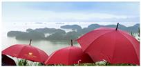雨中情
