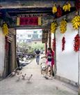 农家小院