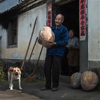 硕果