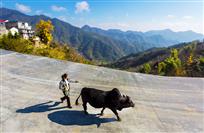 大路通山村
