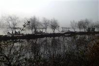 迷雾灵湖