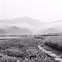 雾里婺源