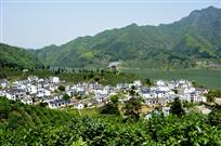 茶乡来客
