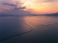 夕阳下的海上牧场