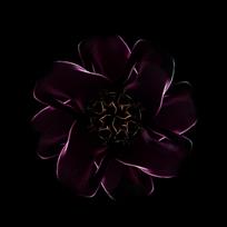 人体之花