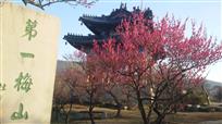 梅花山