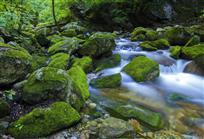 山间小溪