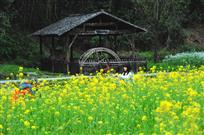 留住春天