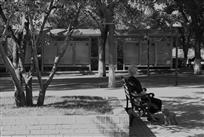 《陪伴》
