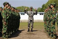 命令
