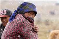 拉萨四月古城飞雪
