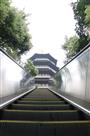 塔