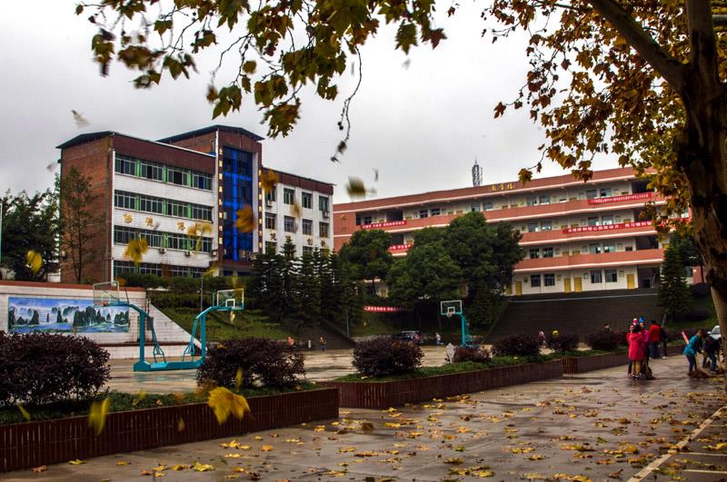 14  作品描述: 秋天到了  拍摄地点: 重庆市忠县拔山初级中学校  拍摄