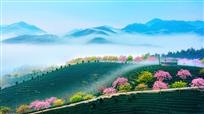 永福之春