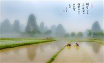 春曲