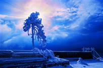 《风雪中的光华》