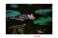 江南荷曲