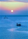 赶海