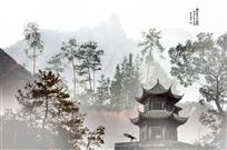 西来寺晨练图