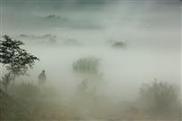 烟雨茫茫