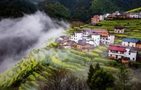 《雨露春风润山村》