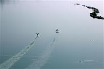 惊起凫鸟两三行