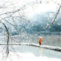 意中微有雪，花外欲无春