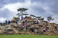 好一幅天然大盆景