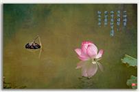 画荷